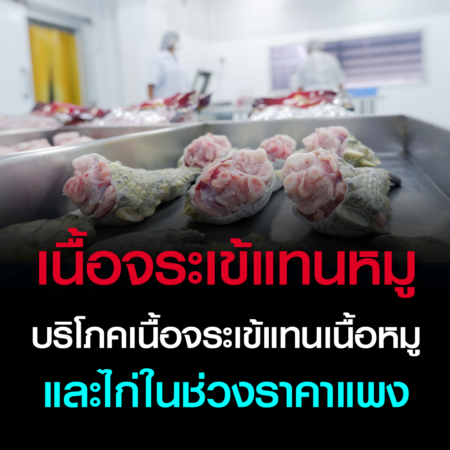 หนุนคนไทยบริโภคเนื้อจระเข้แทนเนื้อหมูและไก่ในช่วงราคาแพง  (ชมคลิป)