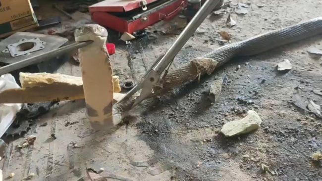 งูจงอางเลื้อยเข้าไปลอกคราบในร้านซ่อมรถจักรยานยนต์ กู้ภัยอริโย จับไว้ได้