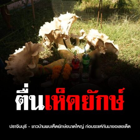 ปราจีนบุรี – ชาวบ้านพบเห็ดยักษ์ขนาดใหญ่ ก่อนจะแห่กันมาขอเลขเด็ด