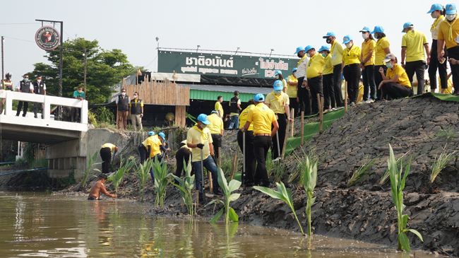 ปทุมธานี-นายกแจ๊สนำจิตอาสาร่วมกันปลูกต้นพุทธรักษาและหญ้าแฝกคลองเปรมประชากร