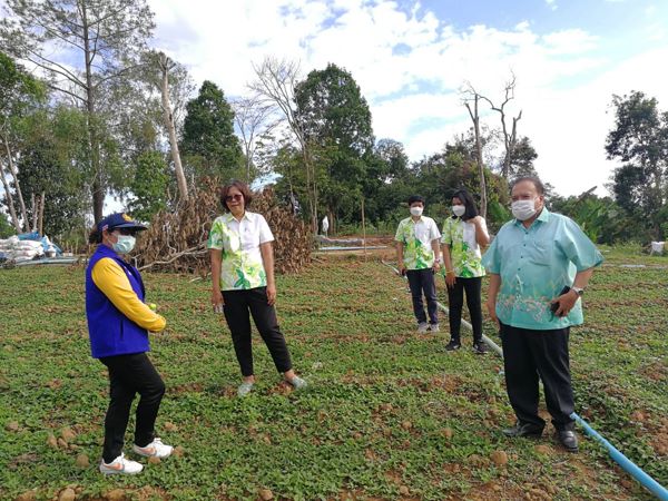 เพชรบูรณ์ – เกษตรจังหวัด ลงพื้นที่เยี่ยมเยียนแปลงปลูกพืชผักแบบเกษตรอินทรีย์