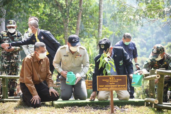 “ฉลองความสัมพันธ์ 160 ปี ไทย–เยอรมนี” เปิดเส้นทางศึกษาธรรมชาติผากล้วยไม้ – น้ำตกเหวสุวัต สานความร่วมมือด้านการอนุรักษ์