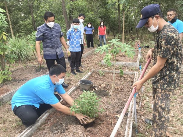 ตราด-อำเภอคลองใหญ่ /น้อมนำแนวพระราชดำริสมเด็จพระกนิษฐาธิราชเจ้า กรมสมเด็จพระเทพรัตนราชสุดาฯสยามบรมราชกุมารี ปลูกผัก ปลูกรัก กับ พช.สร้างความมั่นคงทางอาหาร