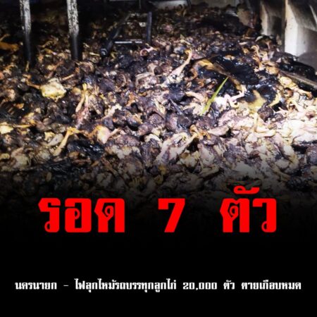 นครนายก – ไฟลุกไหม้รถบรรทุกลูกไก่ 20,000 ตัว ตายเกือบหมด