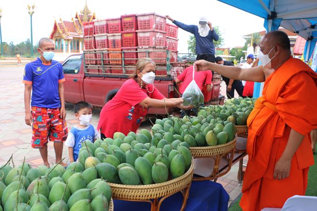 พิจิตร-คุณพระช่วยเชิญชวนญาติโยมช่วยซื้อมะม่วงอุดหนุนชาวสวนบูชาหลวงพ่อเพชรแก้วิกฤตราคาตก