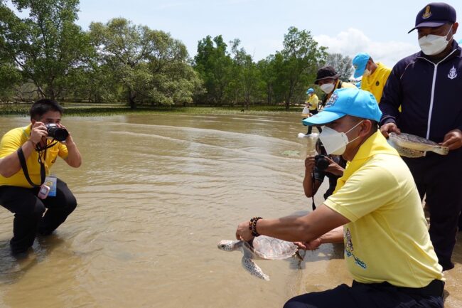 #ผบ.ตร.นำมวลชนปลูกจิตสำนึก “เฉลิมพระเกียรติ”จิตอาสารักษ์ป่าชายเลนหาดท่าหลา ภูเก็ต