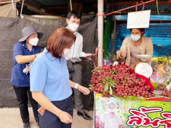 สมุทรสงคราม – สำนักงานเกษตรจังหวัดสมุทรสงครามลงสำรวจลิ้นจี่ก่อนจำหน่ายให้ได้คุณภาพ