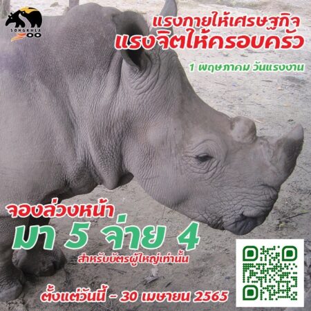 องค์การสวนสัตว์ฯ เปิดสวนสัตว์ทั่วไทย คืนสุขวันแรงงานฯ 1 พ.ค. นี้