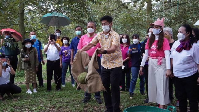 พิษณุโลก สภาอุตสาหกรรมท่องเที่ยวจังหวัดพิษณุโลก เชิญเที่ยวชิม ช็อป ทุเรียนที่บ้านรักไทย