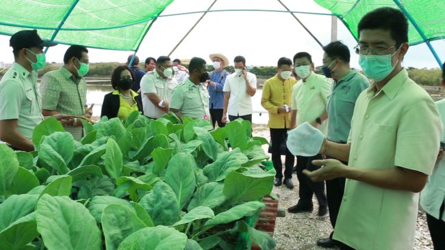 สมุทรสงคราม-เรือนจำกลางสมุทรสงครามพัฒนาให้เป็นแหล่งเรียนรู้ด้านเศรษฐกิจพอเพียง