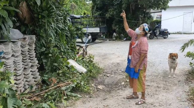 หมอนวดแผนไทย ปีนสอยมะม่วงพลัดตกเสียชีวิต