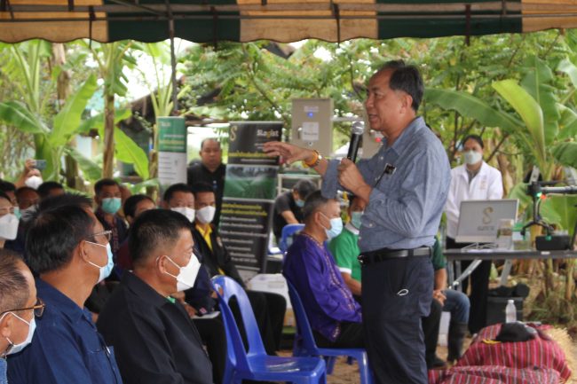 กาฬสินธุ์ มูลนิธิปิดทองพลิกวิถีชาวนาปลูกข้าวโพดเลี้ยงสัตว์