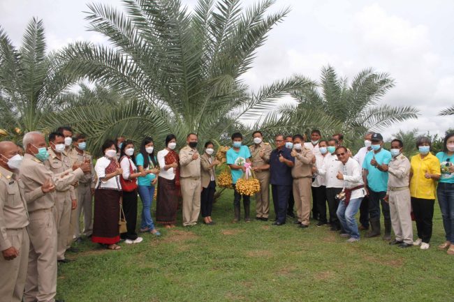 กาฬสินธุ์ เปิดเทศกาลอินทผลัมดนตรีในสวนเมืองไดโนเสาร์