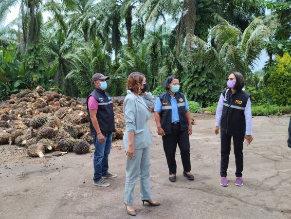 กระบี่-สำนักงานพาณิชย์จังหวัดกระบี่บูรณาการหน่วยงานลงพื้นที่ติดตามสถานการณ์การรับซื้อผลปาล์มน้ำมัน การปิดป้ายแสดงราคารับซื้อให้เป็นไปตามมาตรฐาน