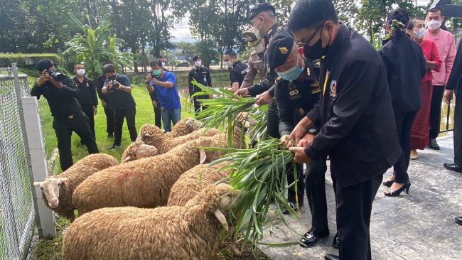 ลำปาง-มทบ.32​ ผนึกกำลัง กฟผ.แม่เมาะ เปิดสะพาน​ “เกาะกลางน้ำ สร้างความสุข ค่ายสุรศักดิ์มนตรี”