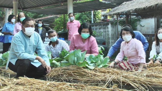 ลำปาง – พ่อเมืองลำปางร่วมเป็นแบบอย่าง ชวนทำสวนเกษตรปลูกผักริมรั้วสร้างความมั่นคงทางอาหาร