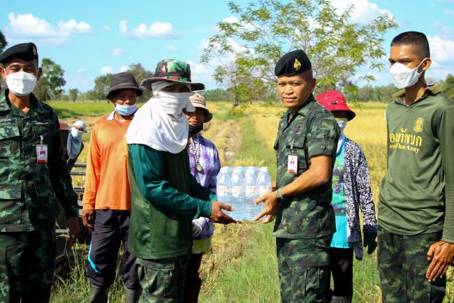 (สุรินทร์)มณฑลทหารบกที่ 25 จัดกำลังพลพร้อมรถเกี่ยวข้าว เข้าช่วยเกี่ยวข้าว เพื่อลดรายจ่ายเกษตรกร พร้อมเปิดค่ายให้เกษตรกรที่ไม่มีพื้นที่ตากข้าวนำข้าวเปลือกไปตาก