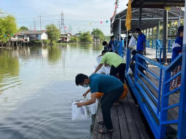 ปทุมธานี สำนักงานประมงปทุมธานี ร่วมกับศูนย์วิจัยและพัฒนาการเพาะเลี้ยงสัตว์น้ำจืดปทุมธานี ปล่อยปลา จำนวน 100,000 ตัวเพื่อฟื้นฟูทรัพยากรพันธุ์ปลาและสัตว์น้ำจืด