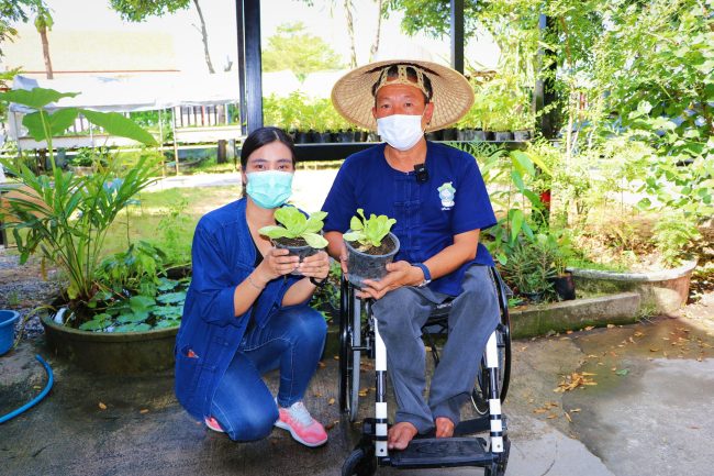 ปทุมธานี ศูนย์เรียนรู้การปลูกผักสลัดอัจฉริยะแห่งใหม่ในจังหวัดปทุมธานี