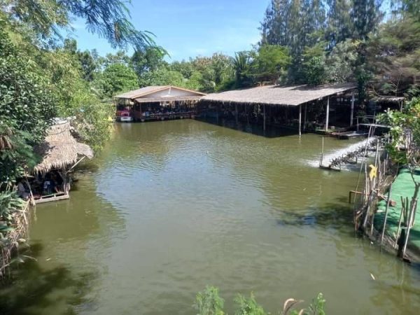 ปทุมธานี “โต้ลมหนาว” พ่อแม่พาลูกเที่ยวปิ่นฟ้าฟาร์ม ลาดหลุมแก้ว ก่อนปีใหม่ วิถีท่องเที่ยวเชิงเกษตรแห่งเดียวในจังหวัดปทุมธานี กันอย่างคึกคัก