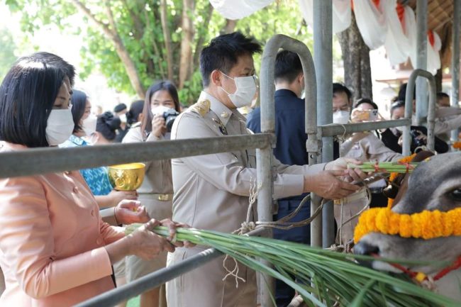 จังหวัดสระบุรี/จัดพิธีเจริญพระพุทธมนต์และเจริญจิตตภาวนา พร้อมปล่อยพันธุ์ปลา ไถ่ชีวิตโคกระบือ เพื่อถวายพระพรและถวายเป็นพระราชกุศลฯ