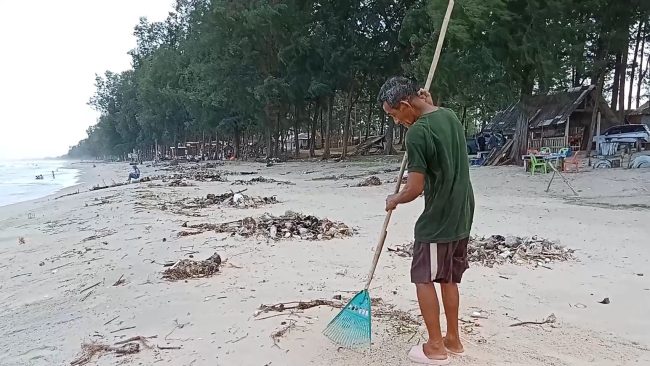 สงขลา-ชื่นชมคุณลุงหัวใจรักทะเล วัย 72 ปี ถือไม้กวาดด้ามยาวคู่ใจเดินเก็บกวดขยะตามริมแนวชายหาดวังหนาวบีท ใน ต.นาทับ เป็นประจำทุกวัน