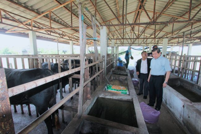 นิพนธ์ เดินหน้ายุทธศาสตร์ความมั่นคงทางด้านอาหาร ลุยโครงการโคบาลชายแดนใต้ ลงพื้นที่ดูการเตรียมความพร้อมในพื้นที่ นราธิวาส