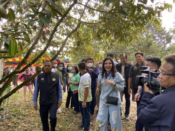 จันทบุรี-รมช.มนัญญา ลงพื้นที่จังหวัดจันทบุรี เดินหน้าสร้างความมั่นใจรณรงค์บริโภคผลไม้คุณภาพภาคตะวันออกพร้อมชูกลไกสหกรณ์หนุนการผลิตและการตลาดกระจายสู่ผู้บริโภคทั่วประเทศ