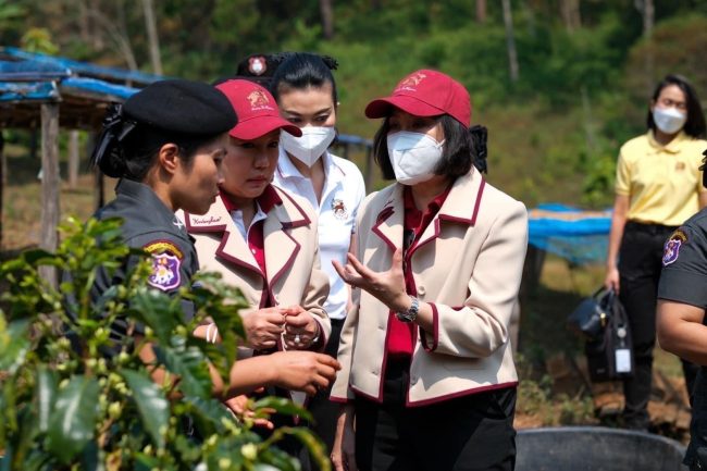 สมาคมแม่บ้านตำรวจ บุกขึ้นดอยเยี่ยมโรงเรียนตำรวจตระเวนชายแดนเวียงแหง จ.เชียงใหม่ ชมการปลูกกาแฟคุณภาพ มุ่งสร้างรายได้ให้ชุมชน และครอบครัวตำรวจ ต่อยอดขยาย สาขาร้านปันรักษ์คาเฟ่