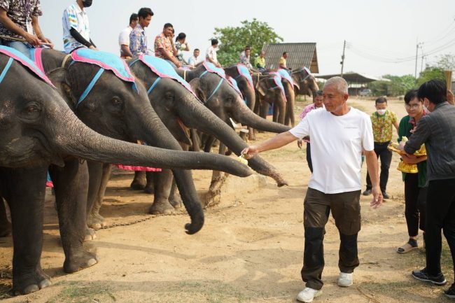 เชือกที่ 2 ของปี สวนนงนุชพัทยา จัดพิธีรับขวัญช้างน้อย “พลายชาย” พร้อมจัดขบวนนางรำรับขวัญลูกช้าง