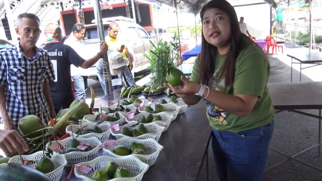 สงขลา-สำนักงานเกษตรอำเภอจะนะ เร่งฟื้นฟูและอนุรักษ์ส้มจุกพันธุ์พื้นเมือง ซึ่งเป็นพืชอัตลักษณ์ของอำเภอจะนะไม่ให้สูญพันธุ์