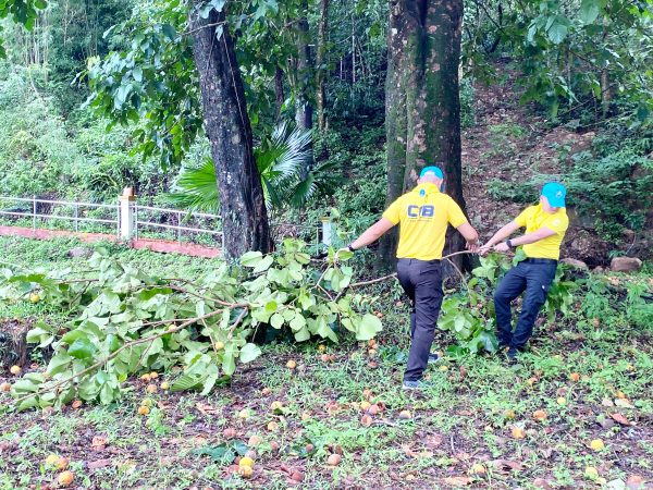 ตราด โครงการจิตอาสาหน่วยพระราชทานและประชาชนจิตอาสาร่วมกับหน่วยงานในพื้นที่อําเภอคลองใหญ่ ปรับปรุงภูมิทัศน์จุดชมวิวเขาท่านก๋ง