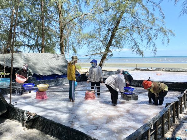 ตราด-แม่ค้าขายก๋วยเตี๋ยวหันมารับจ๊อบช่วยเหลือชาวบ้านทําบ่อแมงกะพรุน รับซื้อแมงกะพรุนกลางทะเล