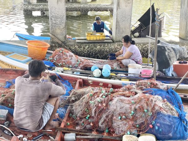 ตราด-ฟ้าหลังฝน ประมงพื้นบ้านไม้รูดออกทะเลวางอวนกุ้ง หลังคลื่นลมเงียบ