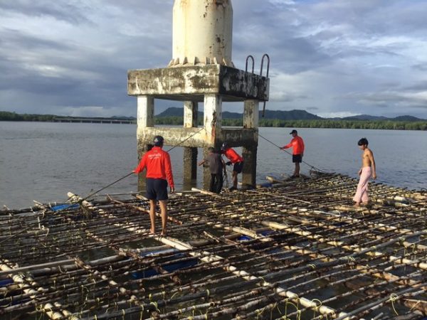 สตูล ทหารเรือช่วยลากกระชังหอยแมลงภู่ ของชาวบ้าน ที่เลี้ยงอยู่ในคลองละงู ถูกกระแสน้ำพัด