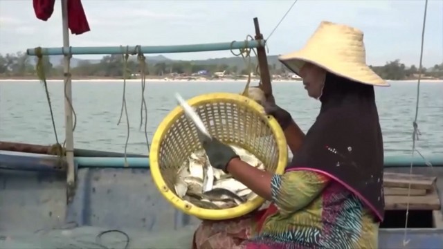 สงขลา-ชาวประมงพื้นบ้านเมืองสงขลา นำเรือออกทำการประมงวางอวนจับกุ้งปลาโดยใช้เวลานานกว่าปรกติเพื่อให้ได้สัตว์น้ำมากที่สุดในช่วงที่คลื่นลมปรกติ