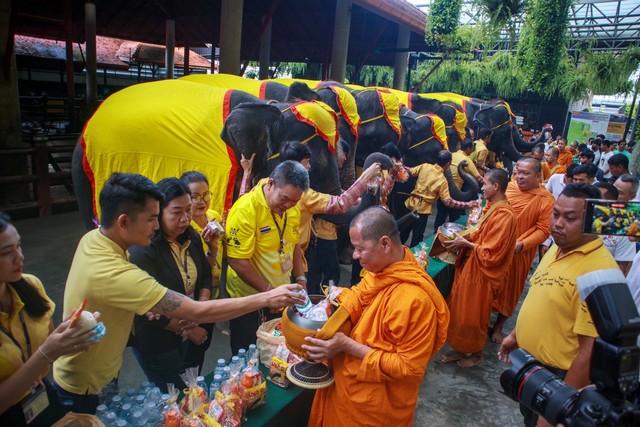 สวนนงนุชพัทยา จัดกิจกรรมน้อมรำลึกเนื่องในวันนวมินทรมหาราช  รัชกาลที่ 9 นำช้าง 9 เชือก ร่วมทำบุญตักบาตร 