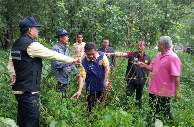 กาฬสินธุ์-ผู้การกาฬสินธุ์พร้อมช่วยตรวจสอบปมฉาวตัดไม้พะยูงโรงเรียนขายนายทุนราคาต่ำกว่าปกติ