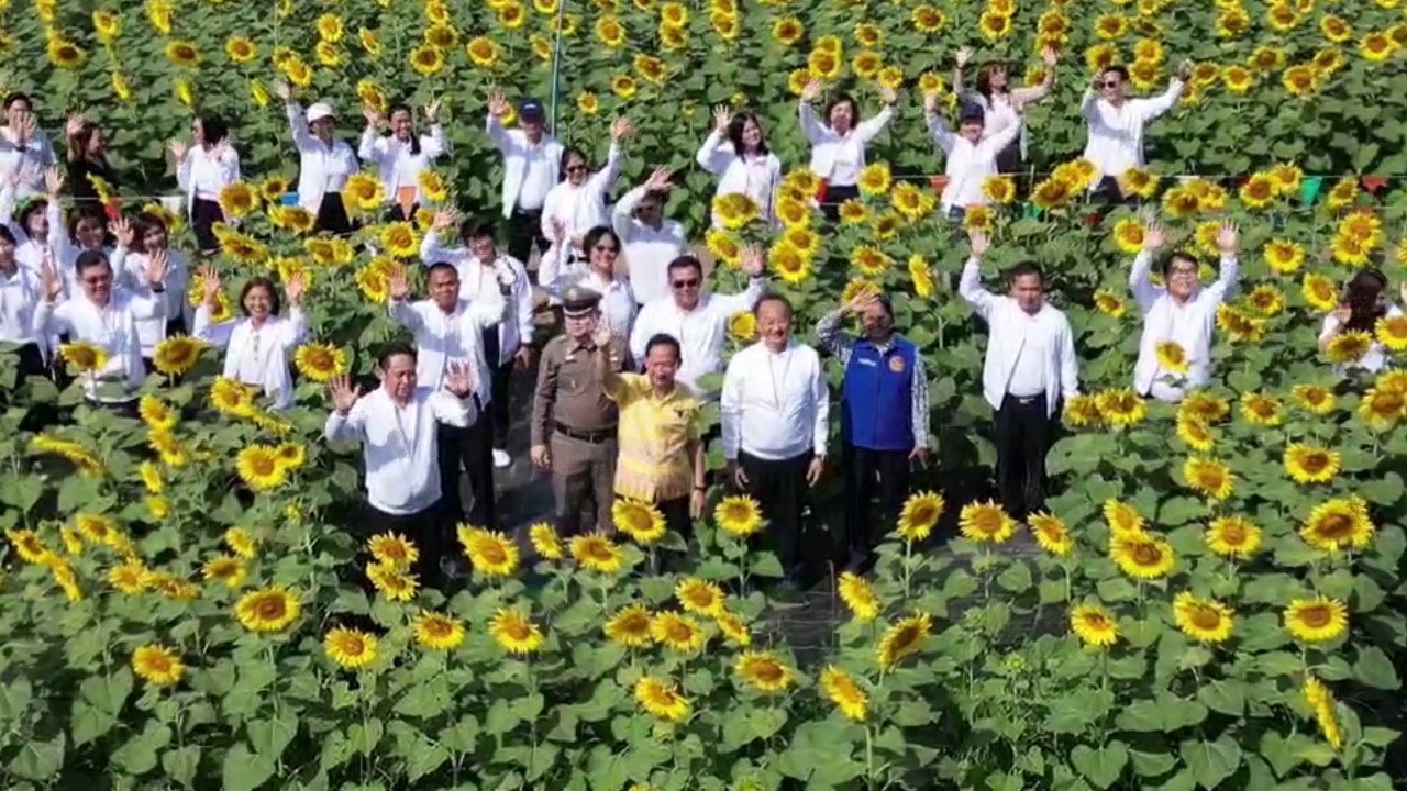 ปทุมธานี ผวจ.ชวนเที่ยวเขาวงกตทุ่งทานตะวันลาดหลุมแก้ว แหล่งท่องเที่ยวรับลมหนาวใกล้กรุงเทพ