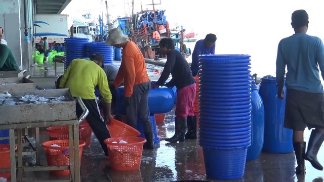 สงขลา-เรือประมงกลับเข้าฝั่งขนถ่ายสินค้าสัตว์น้ำขึ้นท่า แล้วนำเรือไปลงน้ำแข็งที่ท่าโม่ เพื่อออกเรือเที่ยวสุดท้ายในวันพรุ่งนี้ และจะกลับเข้าฝั่งอีกครั้ง ช่วงก่อนปีใหม่ประมาณวันที่ 27-28 ธันวาคม 2566