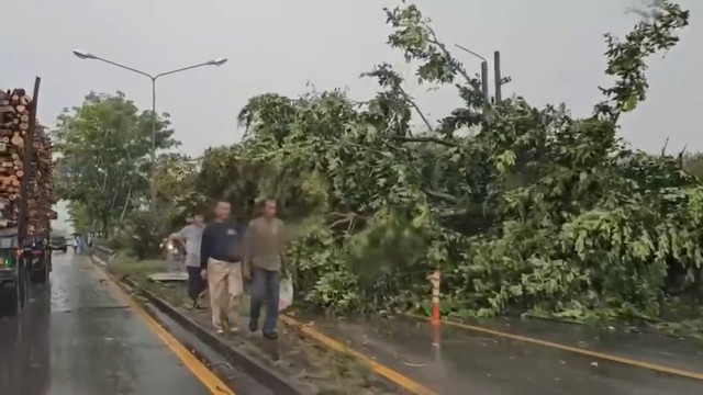 สงขลา-เกิดลมฝนถล่มในพื้นที่บ้านพรุ อ.หาดใหญ่ ทำให้ต้นไม้ใหญ่และเสาไฟฟ้าล้มขวางถนนเส้นทางกาญจนวนิช หาดใหญ่-สะเดา