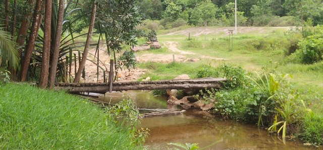 พังงา-ชาวบ้านร้องขอภาครัฐซ่อมบำรุงสะพานไม้ข้ามเข้าบ่อน้ำร้อนปากพู่หวั่นนักท่องเที่ยวเกิดอันตราย