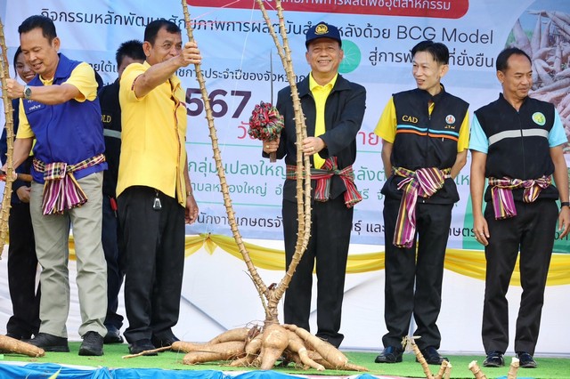 เกษตรกาฬสินธุ์จัดงานรณรงค์เชื่อมโยงเครือข่ายมันสำปะหลังสะอาด