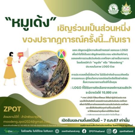 องค์การสวนสัตว์ฯ (ZPOT) เชิญร่วมออกแบบโลโก้เพื่อใช้ในผลิตภัณฑ์ หมูเด้ง ฮิปโปโปเตมัสแคระ!