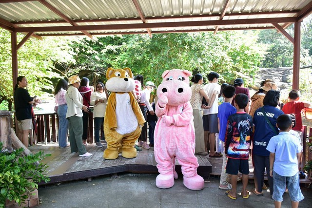 ขอนแก่น – อานิสงส์หมูเด้ง ส่งผลดีต่อหมูด้วง ตัวตึงสวนสัตว์ขอนแก่น นักท่องเที่ยวทั้งไทยและเทศแห่ชมความน่ารักแน่น