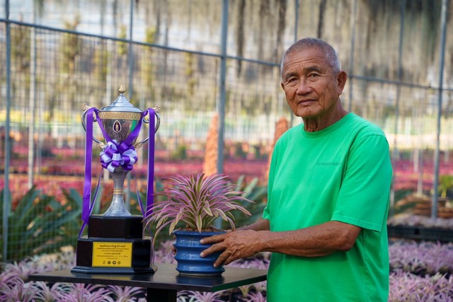 สวนนงนุชพัทยาคว้ารางวัลพระราชทานชนะเลิศยอดเยี่ยม การประกวดสับปะรดสี งานมหกรรมไม้ดอกไม้ประดับ พฤษภาตะวันออก ครั้งที่17