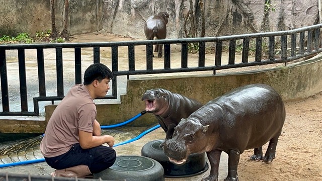 ททท.มอบประกาศและโล่เกียรติคุณ “หมูเด้ง” สร้างอุตสาหกรรมท่องเที่ยวไทย