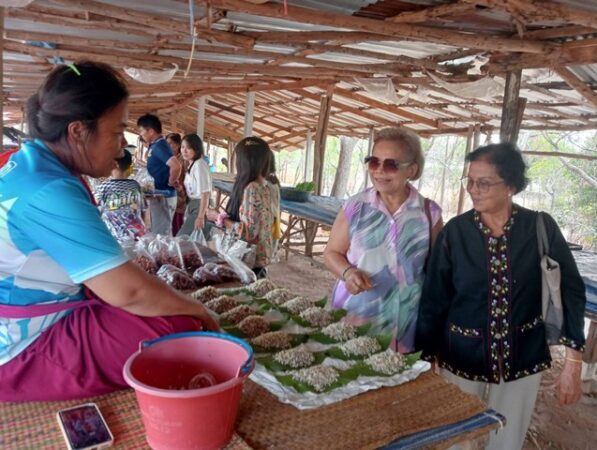 กาฬสินธุ์ตลาดของป่าคึกคักไข่มดแดงอาหารอีสานหน้าแล้งขายดี เงินสะพัดปีละหลายล้านบาท