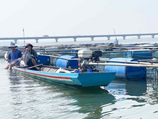 กาฬสินธุ์เร่งสำรวจความเสียหายพายุฤดูร้อนถล่มกระชังปลา