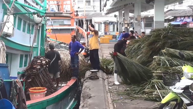 สงขลา-เรือประมงขนาดใหญ่หลายสิบลำนำเรือออกทำการประมง หลังกรมอุตุนิยมวิทยารายงานสภาพอากาศวันนี้ ลมตะวันออกที่พัดปกคลุมอ่าวไทย ภาคใต้
